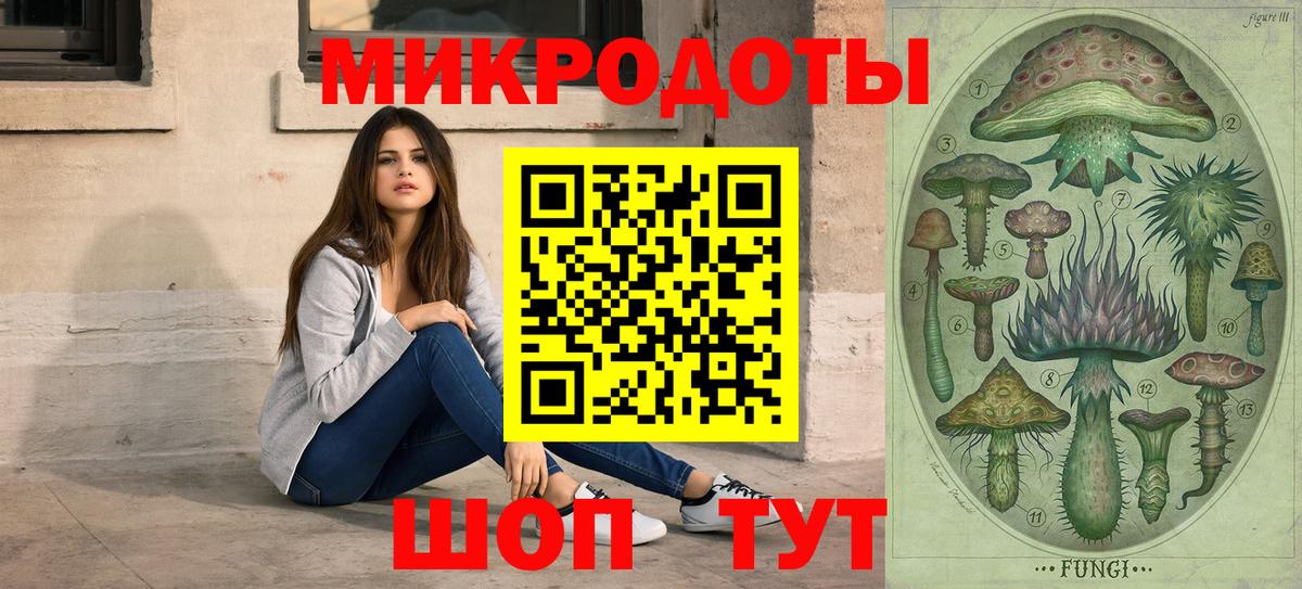 Псилоцибиновые грибы Psilocybine cubensis Мегион