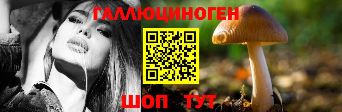 купить   Мегион  Галлюциногенные грибы прущие грибы 